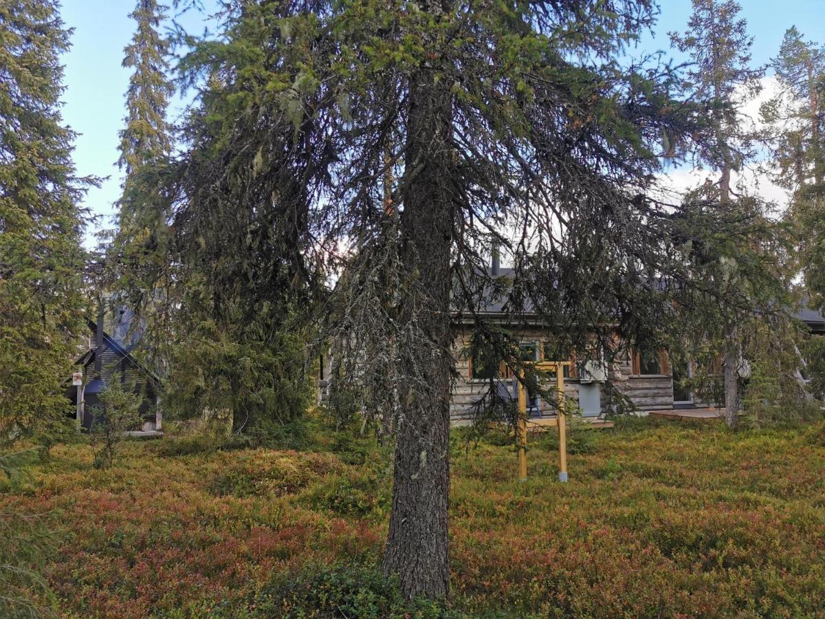 Ruka Inn エクステリア 写真